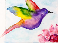 Humming Bird