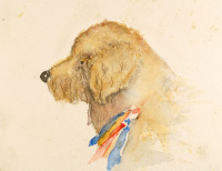 Thinking dog