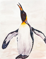 Penquin