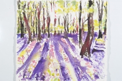 Bluebells