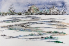 Snow and ice landscape