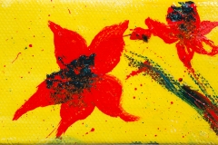 Burst of red - prints available