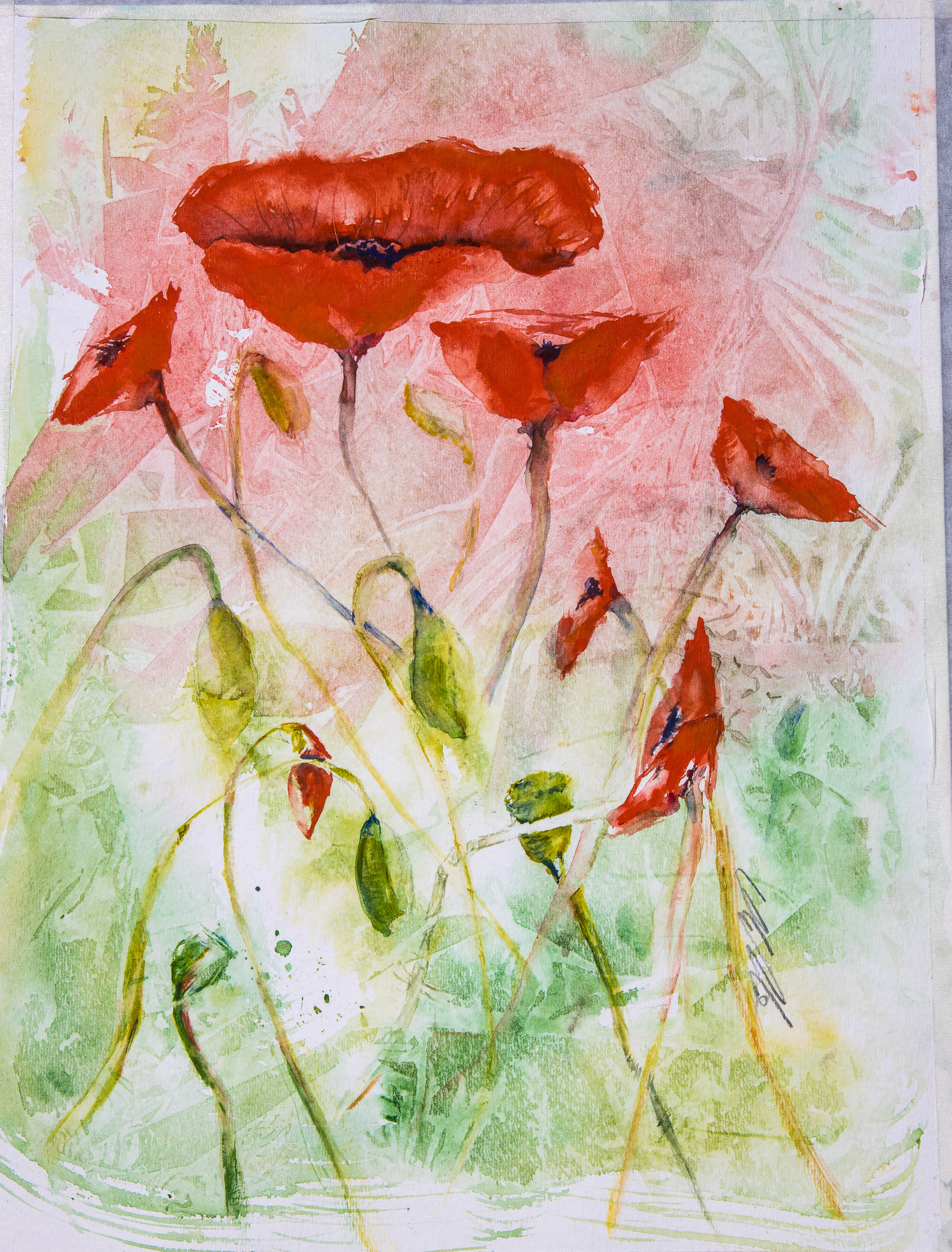 Popping out in Spring.
Poppies in watercolour on 14 inches x 11 inches. 