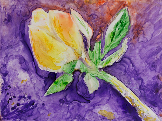 Yellow flower on dramatic background Watercolour on Yupo 9 inch x 12 inch 74 lb